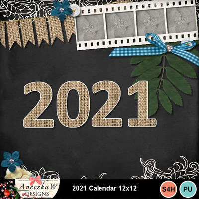 2021_calendar_12x12-001