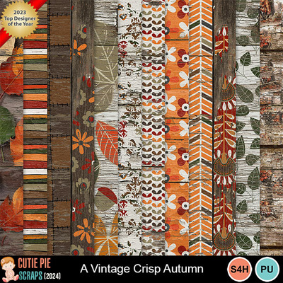 A_vintage_crisp_autumn8