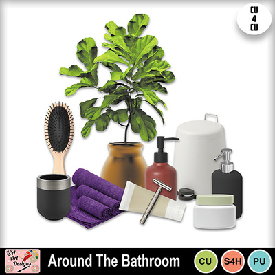 Around_the_bathroom_preview