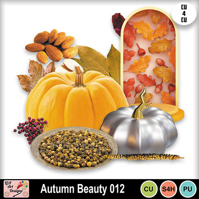 Autumn_beauty_012_preview