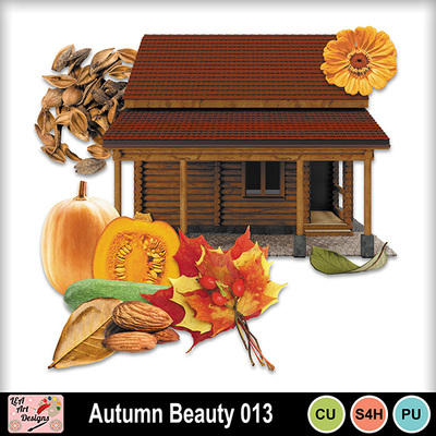 Autumn_beauty_013_preview