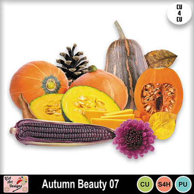 Autumn_beauty_07_preview