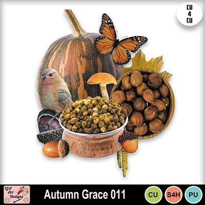 Autumn_grace_011_preview