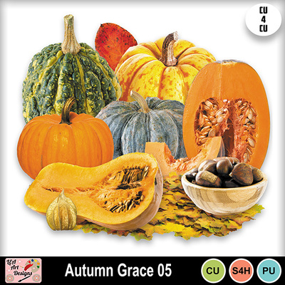 Autumn_grace_05_preview