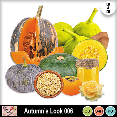 Autumn_s_look_006_preview