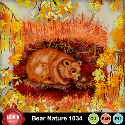 Bear_nature_1034