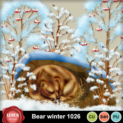 Bear_winter_1026