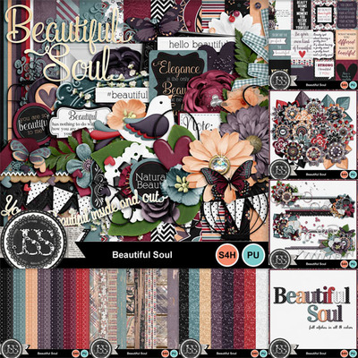 Beautiful_soul_bundle