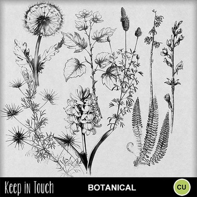 Botanical