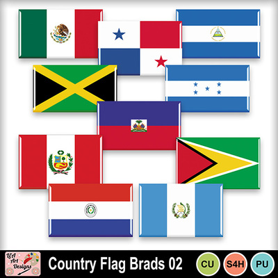 Country_flag_brads_02_preview