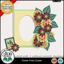 Flowerfrolic_cluster_small