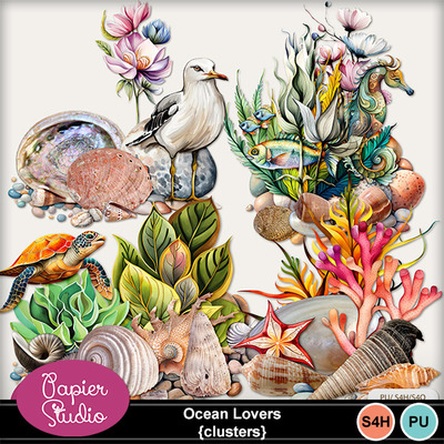 Ocean_lovers_clusters_pv