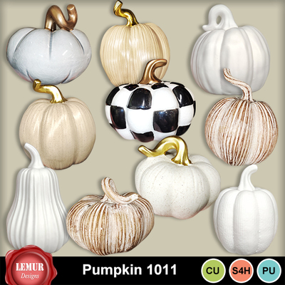 Pumpkin_1011