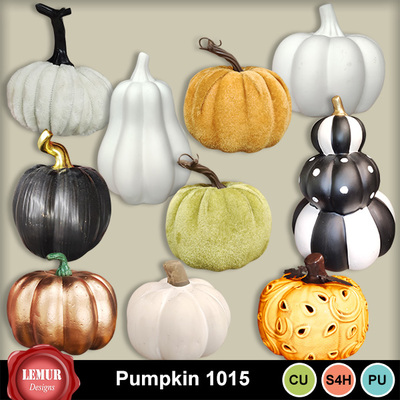 Pumpkin_1015