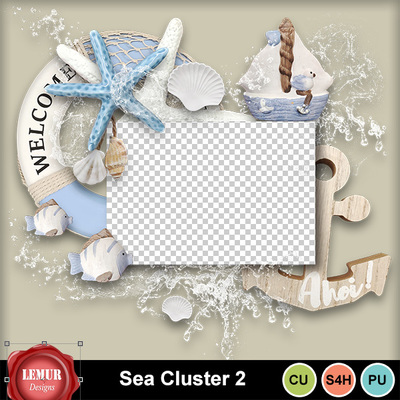 Sea_cluster2