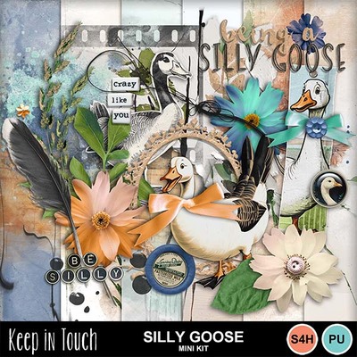 Sillygoose