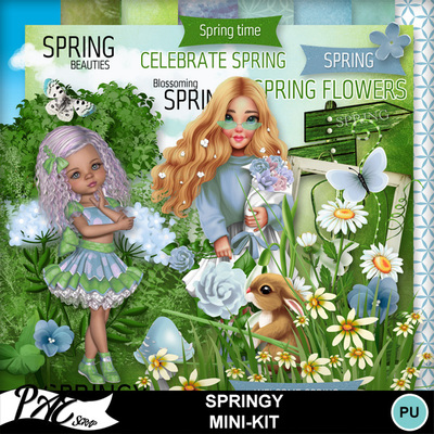 Springy_mini_kit_01