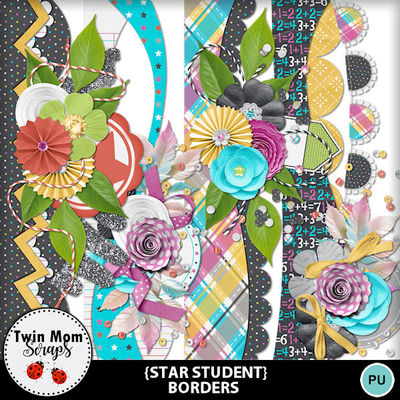 Star_student_borders