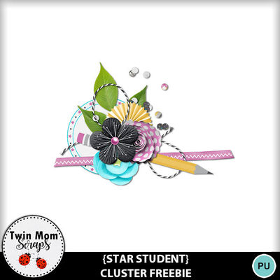 Star_student_cluster_mm