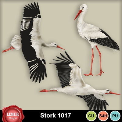 Stork1017